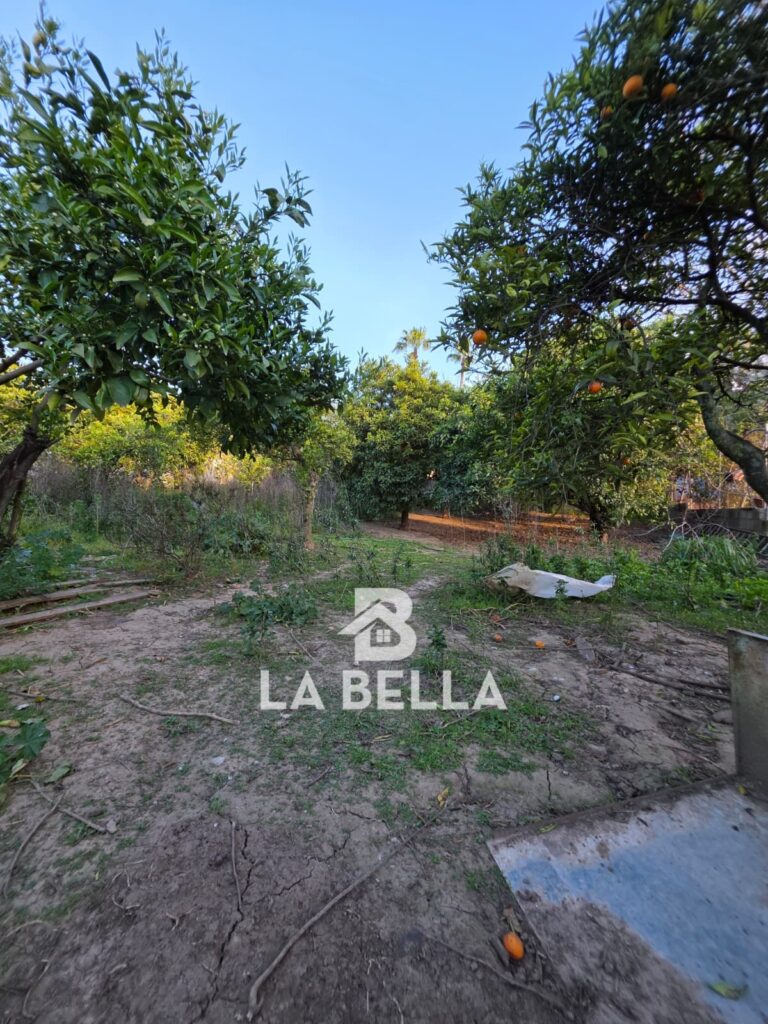 WhatsApp Image 2026-03-19 at 16.57.14