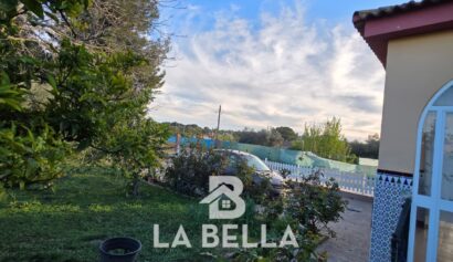 WhatsApp Image 2026-03-19 at 16.57.15 (1)