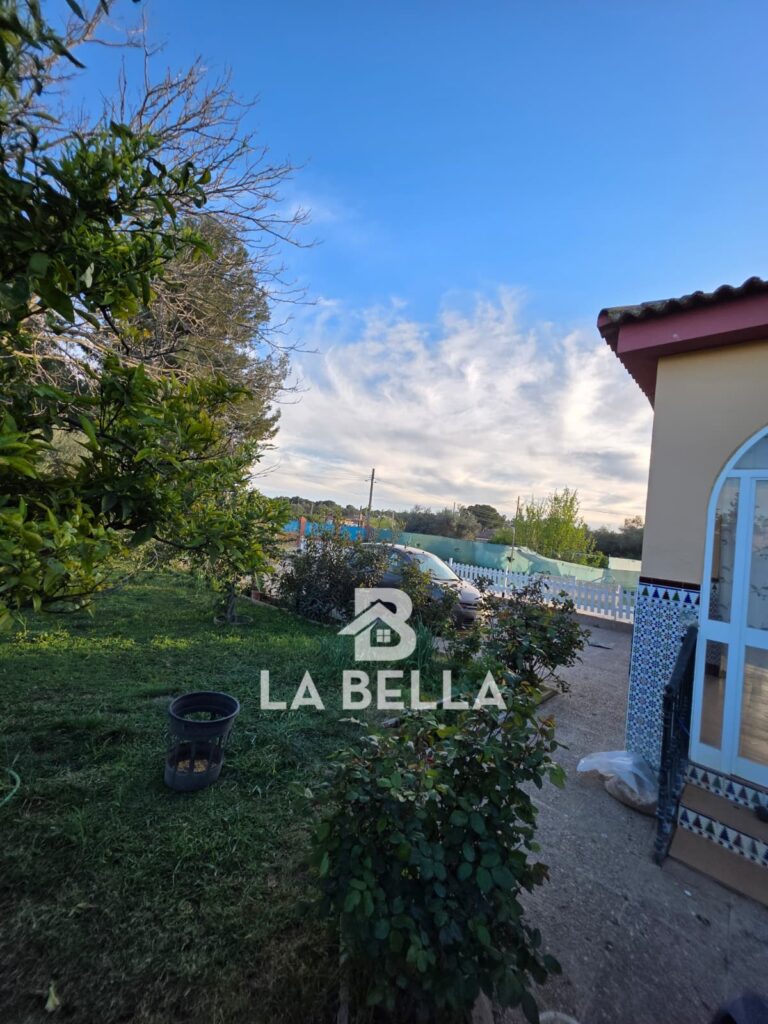 WhatsApp Image 2026-03-19 at 16.57.15 (1)