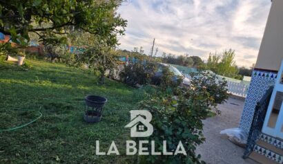 WhatsApp Image 2026-03-19 at 16.57.15