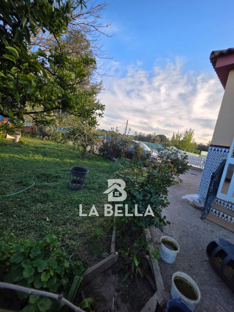 WhatsApp Image 2026-03-19 at 16.57.15