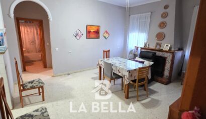 WhatsApp Image 2026-03-19 at 16.57.21