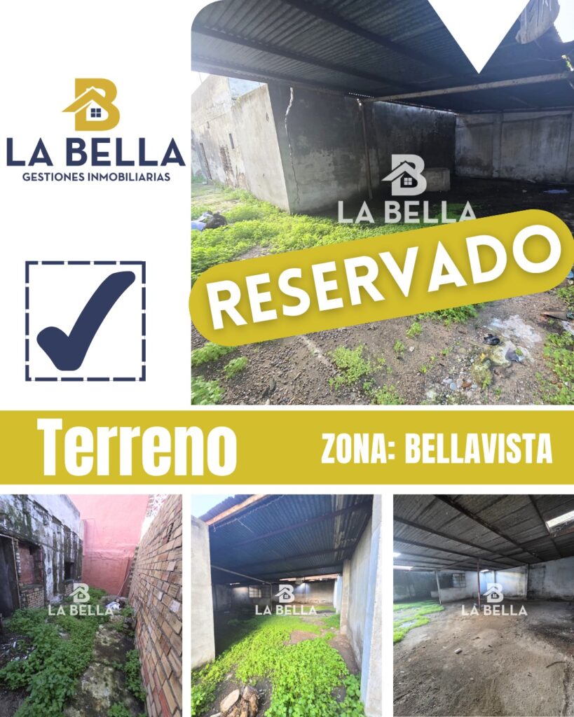 WhatsApp Image 2026-04-01 at 11.43.51