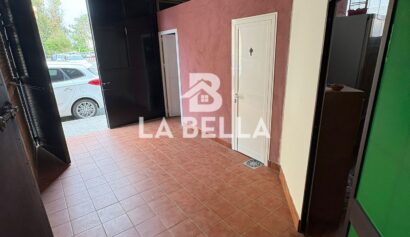 WhatsApp Image 2026-04-14 at 13.13.00