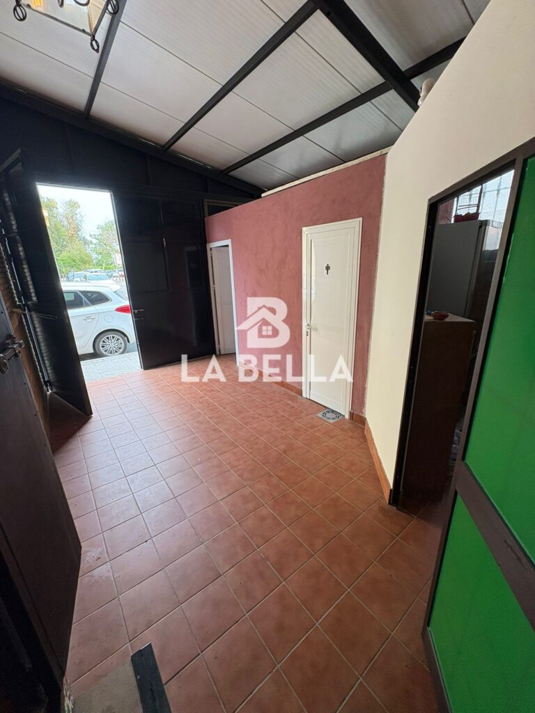 WhatsApp Image 2026-04-14 at 13.13.00