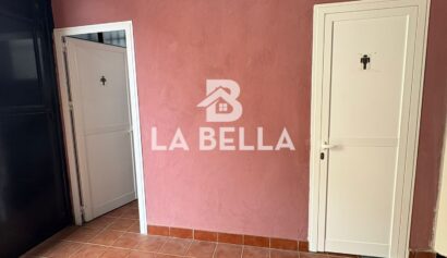 WhatsApp Image 2026-04-14 at 13.13.06 (2)