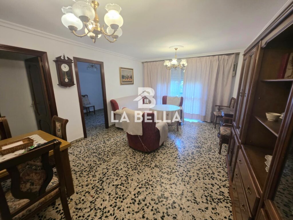 SALON (2)